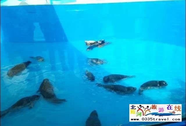 圣蓝皇家海洋公园