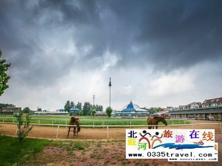 北戴河英伦国际马术俱乐部