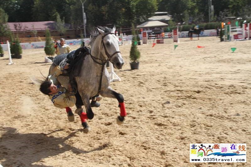 北戴河英伦国际马术俱乐部