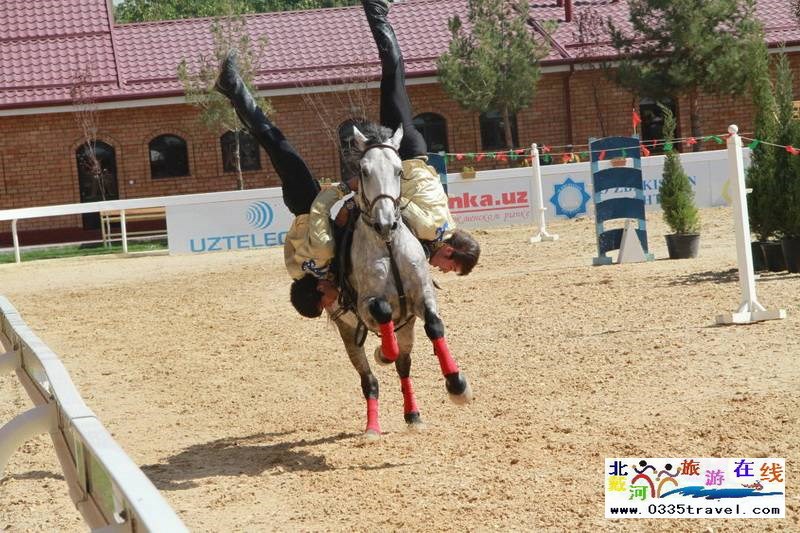 北戴河英伦国际马术俱乐部